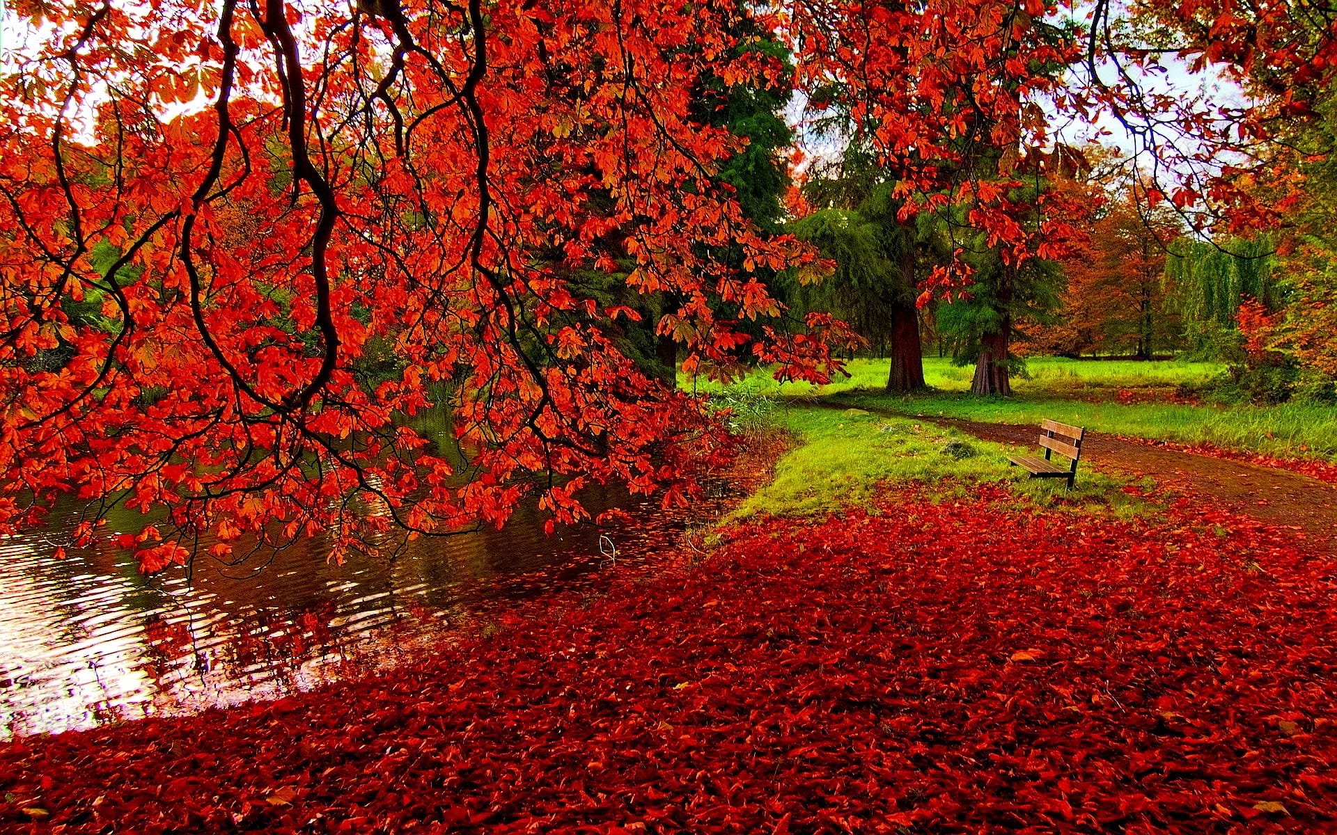 40 Autumn Scene Background Wallpaper for Desktop