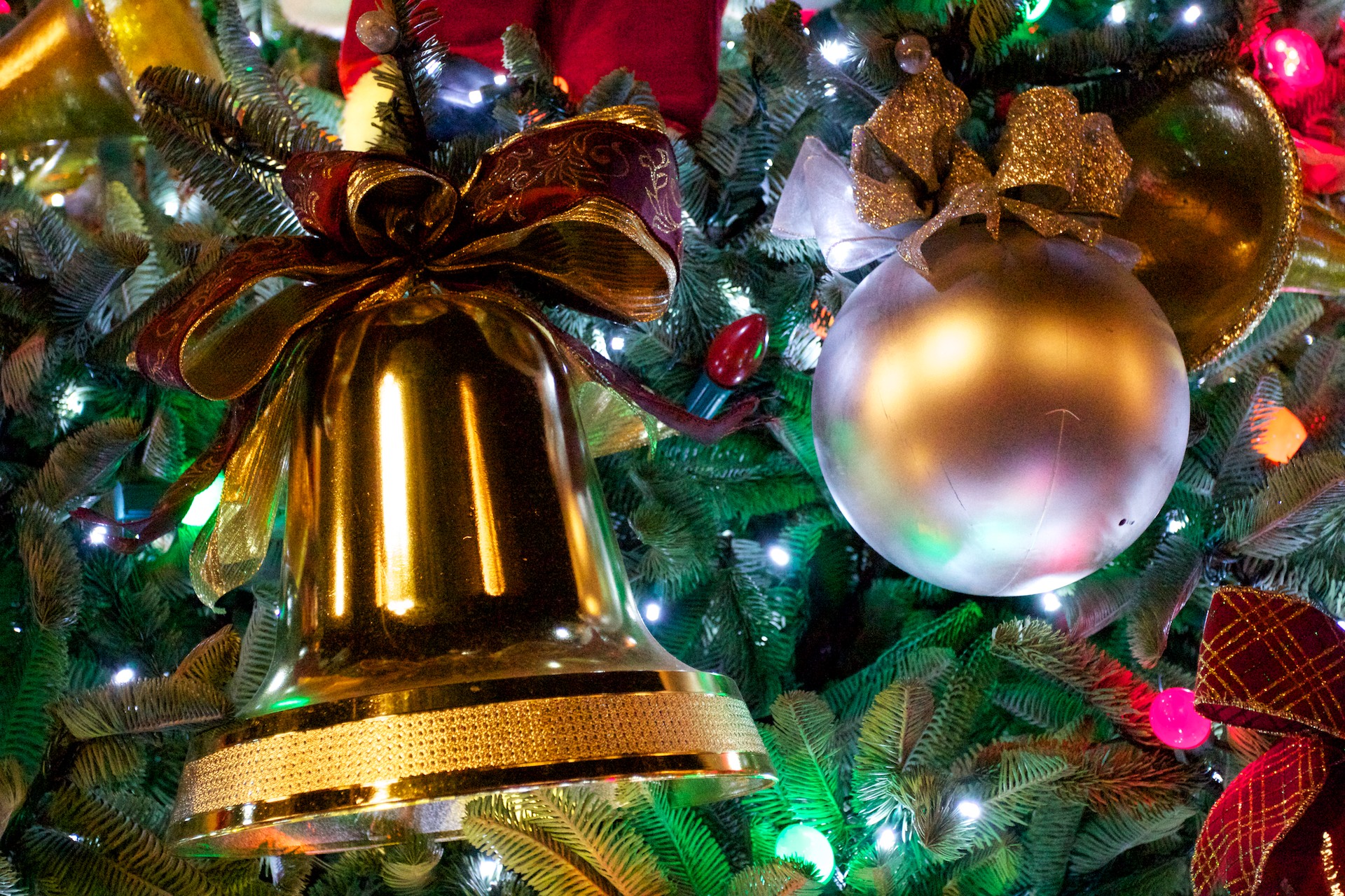 Beautiful Christmas Tree Wallpapers (53)