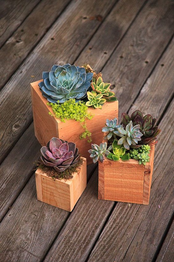 25 DIY Wood Planter Box Designs For Your Garden