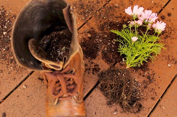 how-to-make-flower-pots-and-planters-from-boots-and-shoes-3