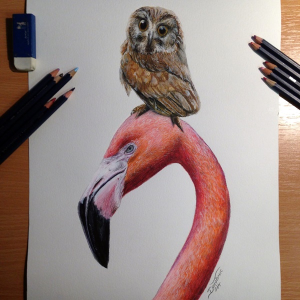 40 Creative And Simple Color Pencil Drawings Ideas