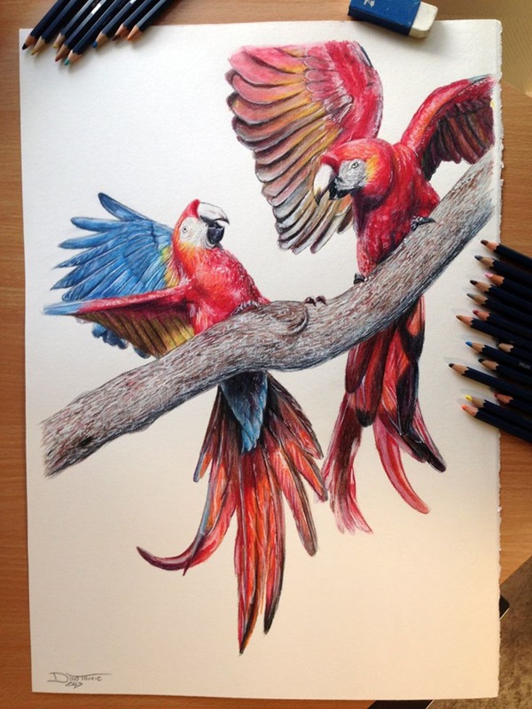 40 Creative And Simple Color Pencil Drawings Ideas