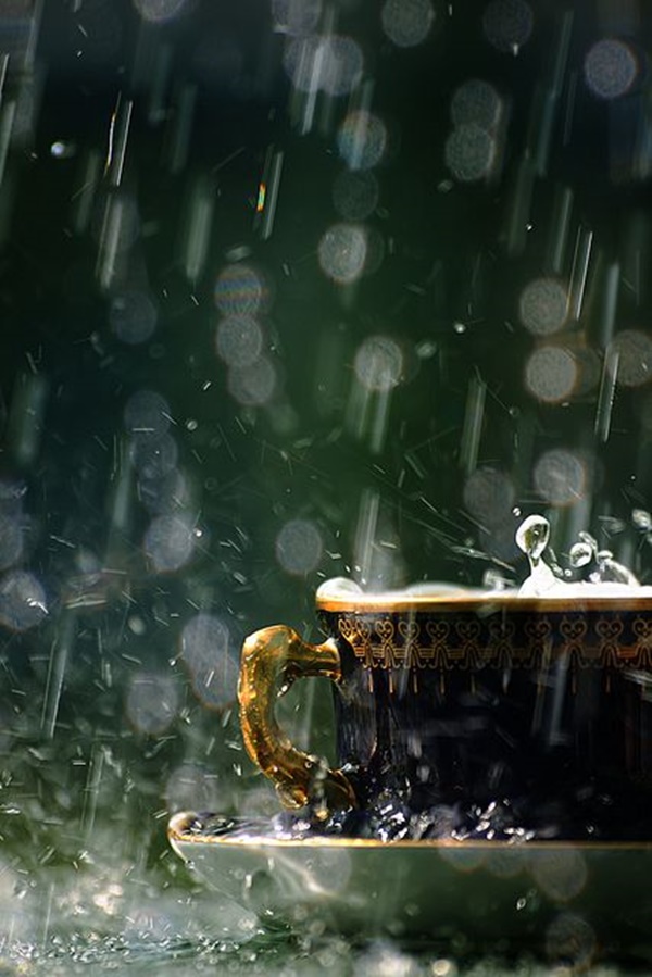 Mind Pausing Rain Photography Ideas