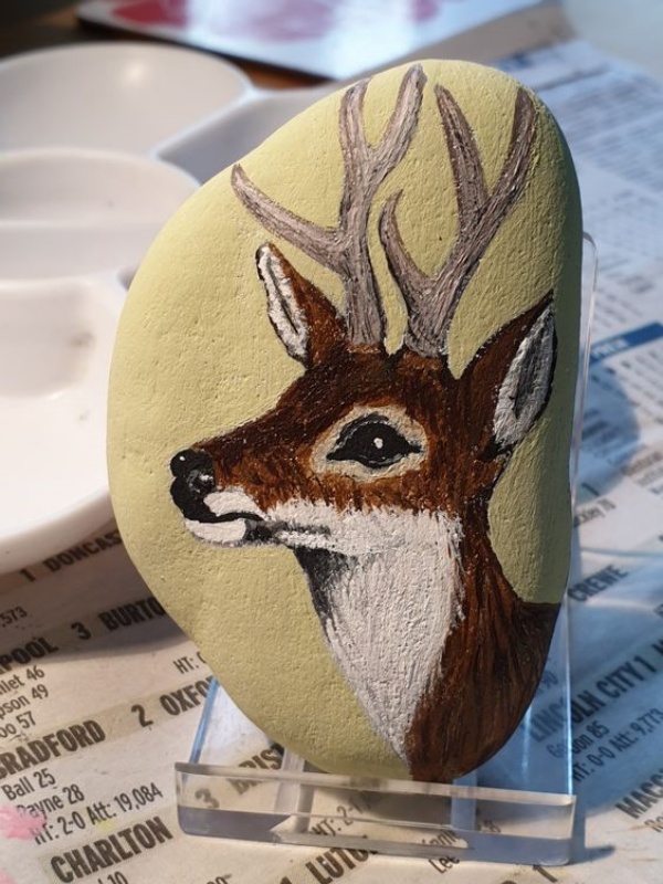 Easy Animal Rock Painting Ideas For Beginners