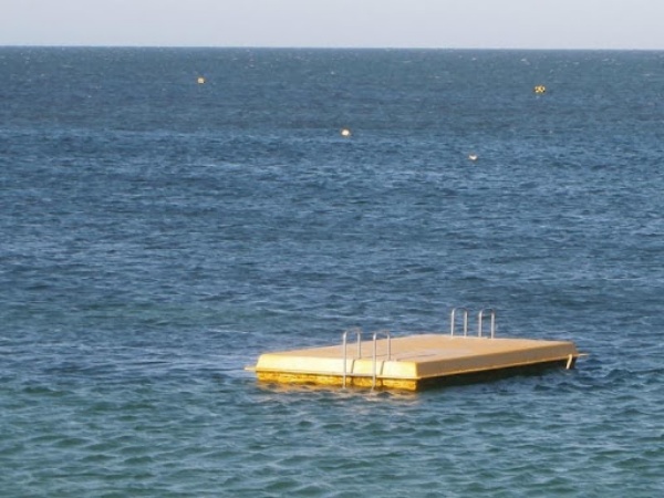 The-Benefits-of-Floating-Platforms-for-Fisheries