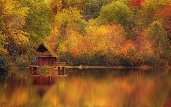 Autumn Scene wallpapers (43)