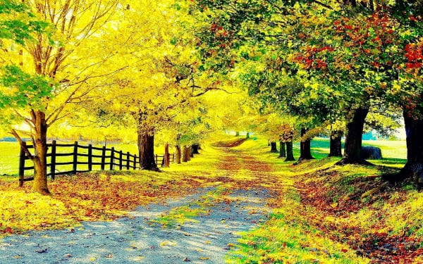 Autumn Scene wallpapers (45)