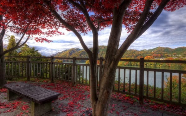 Autumn Scene wallpapers (48)