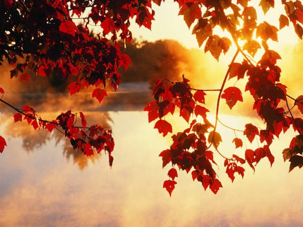 Autumn Scene wallpapers (59)