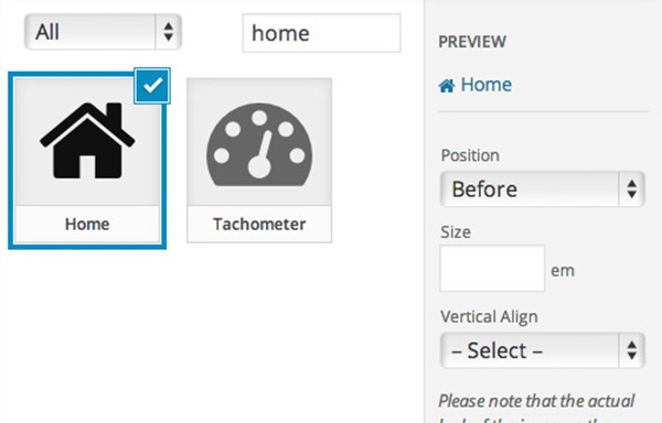 How to display icons in wordpress3