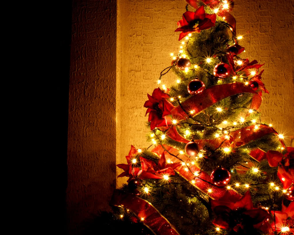 Beautiful Christmas Tree Wallpapers (2)