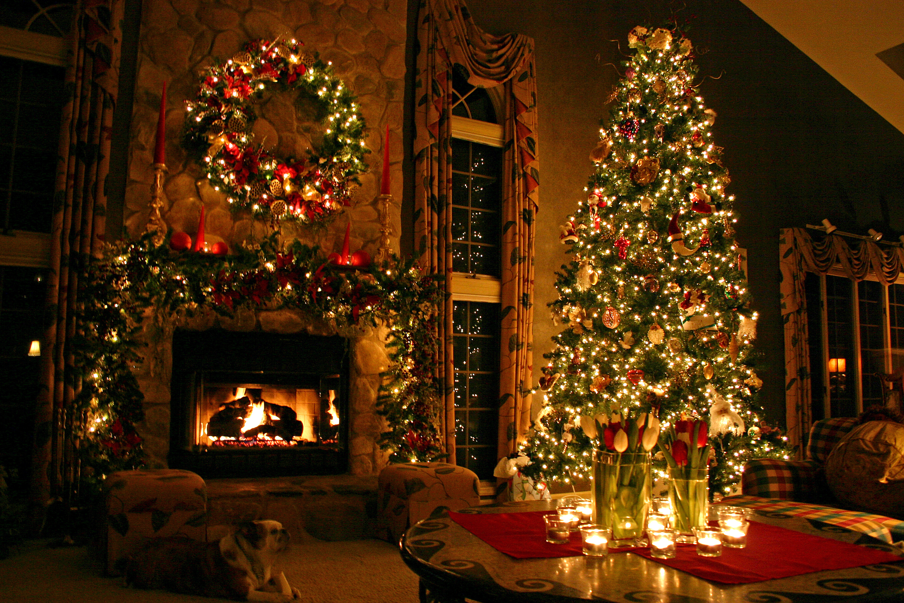 Beautiful Christmas Tree Wallpapers (47)