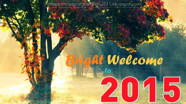 Happy New Year 2015Wallpapers for Desktop (37)