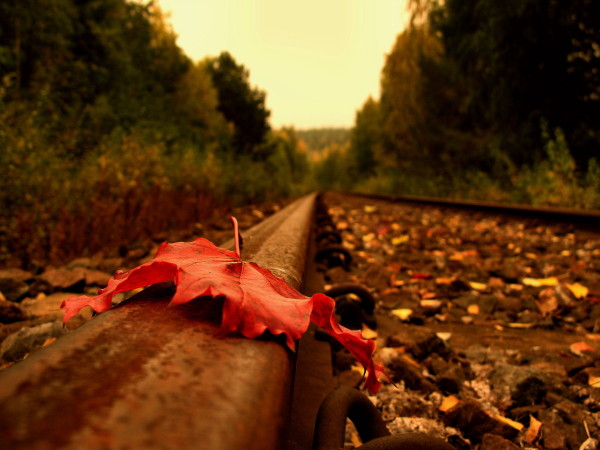 RElaxing railroad track wallpapers (26)