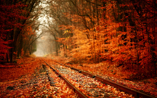 RElaxing railroad track wallpapers (36)