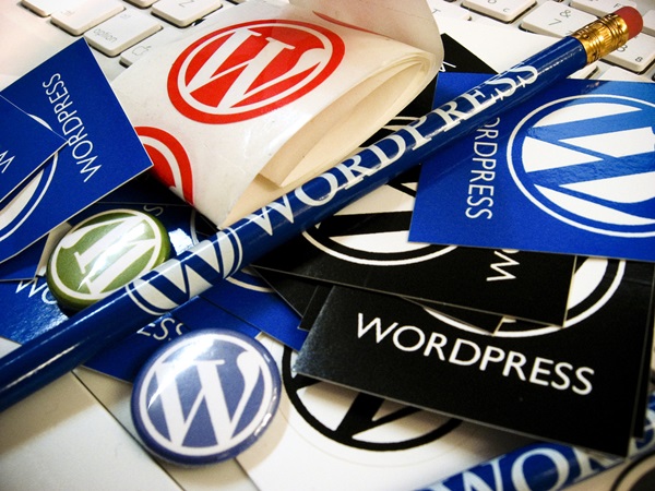 Why you must own a wordpress blog5