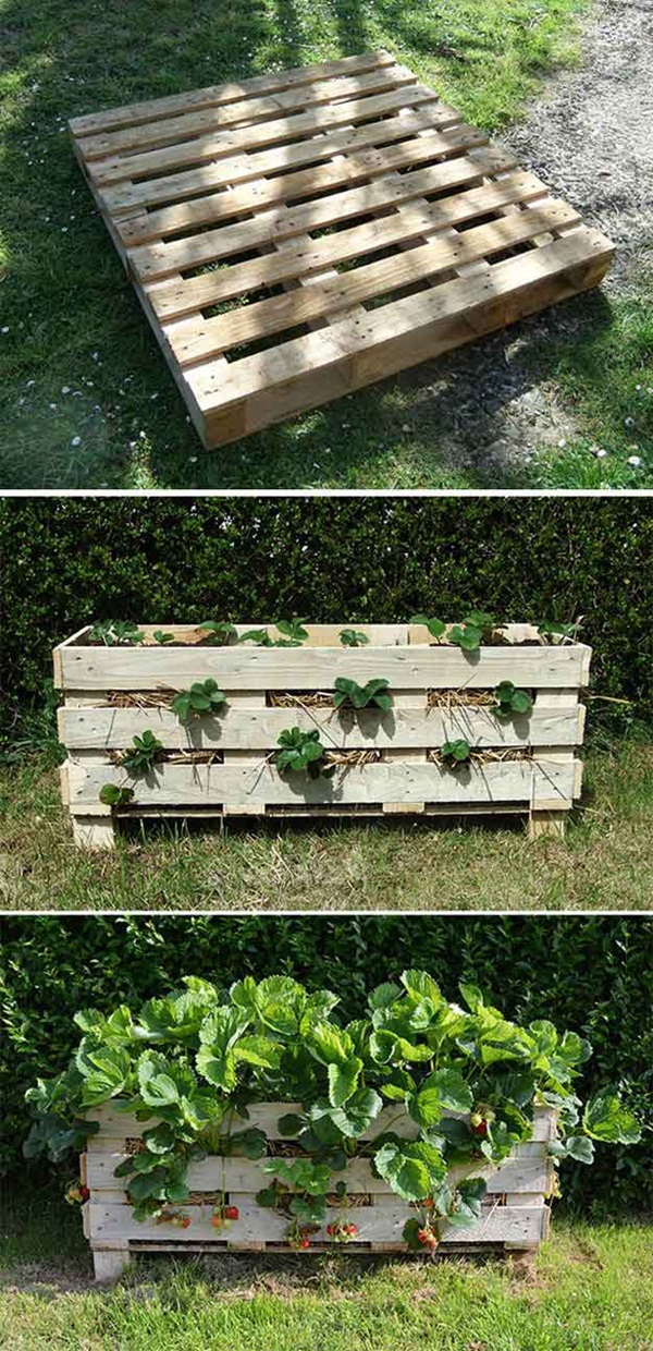 wood-planter-box-designs5