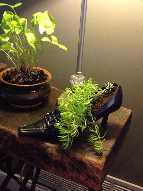 howtomakeflowerpotsandplantersfrombootsandshoes4