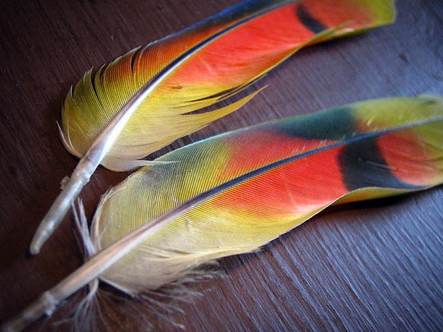 Amazing Painted Feather Ideas
