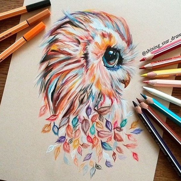 40 Creative And Simple Color Pencil Drawings Ideas Owls drawing