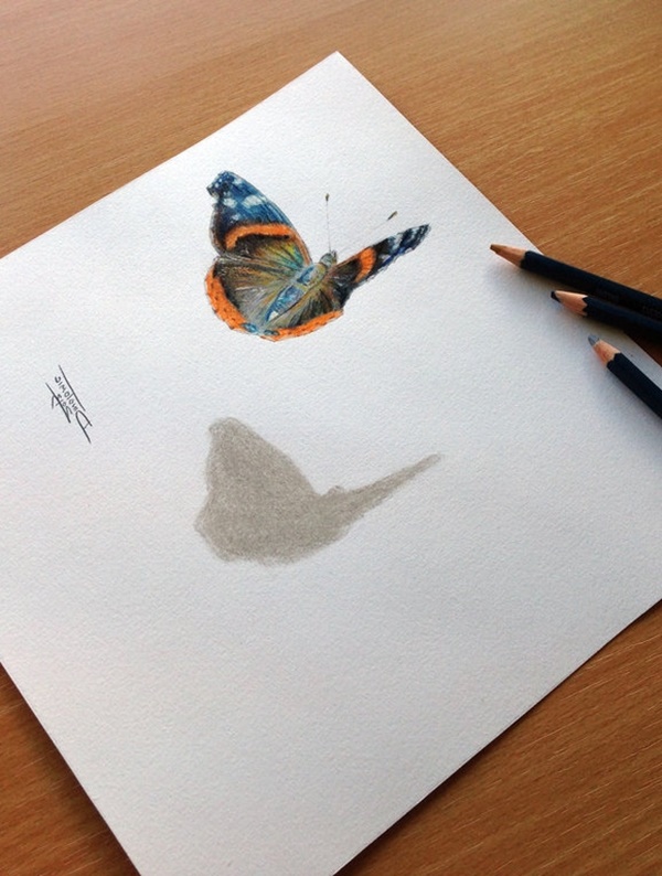 Simple Frame Birds Pencil Sketch