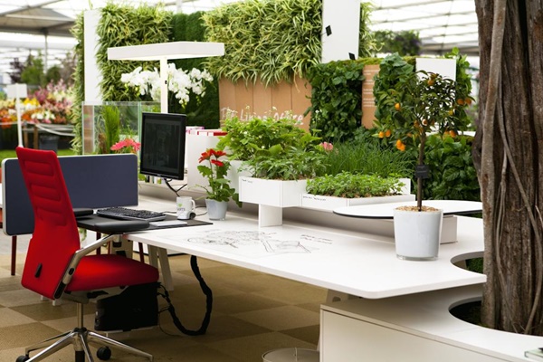 Indoor-Office-Garden-Installation-Ideas