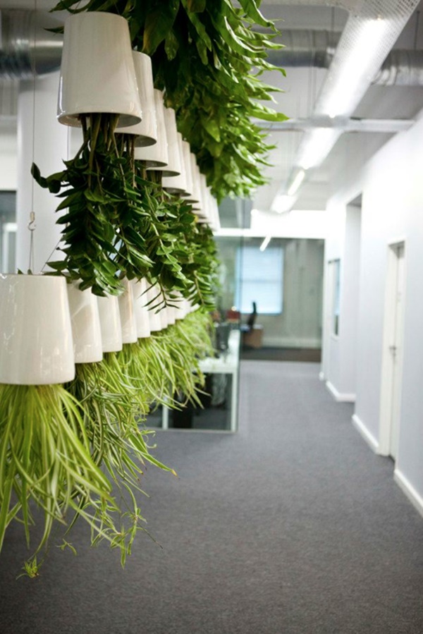 Indoor-Office-Garden-Installation-Ideas