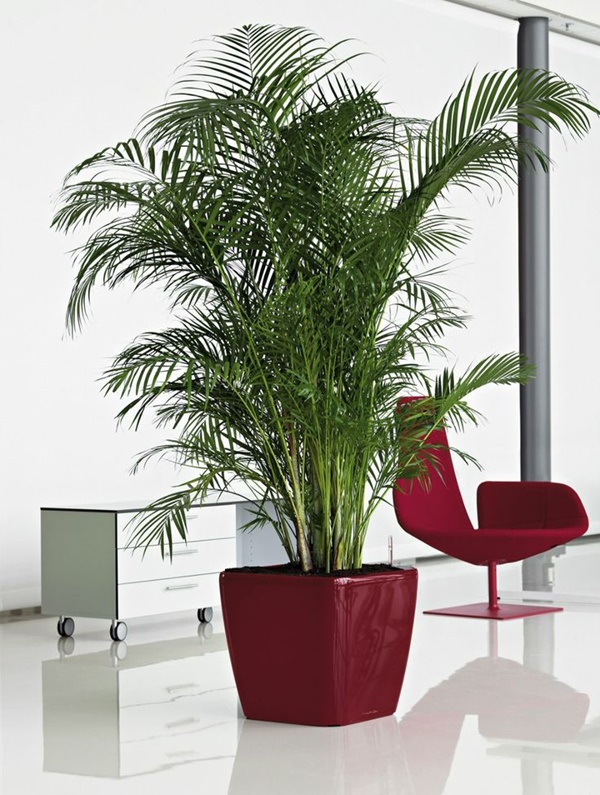 Indoor-Office-Garden-Installation-Ideas