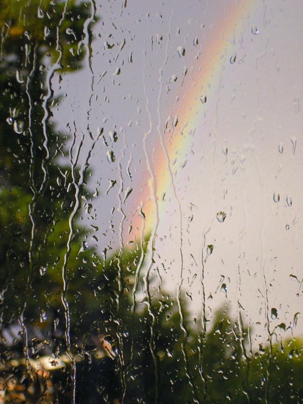 Rain-Photography-Ideas