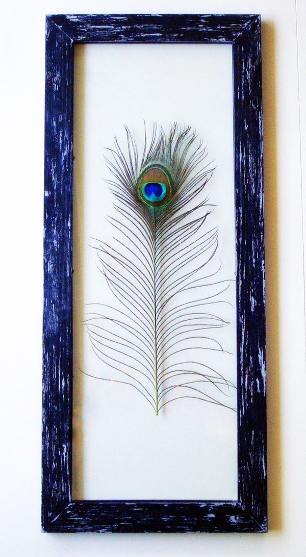 Peacock-Feather-Wall-Decor-Ideas