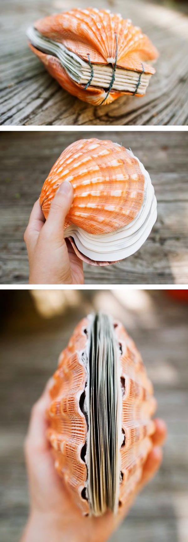 Cute-And-Easy-Seashell-Craft-And-Decor-Ideas