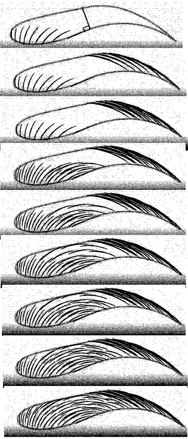 How To Draw A Face For Beginners