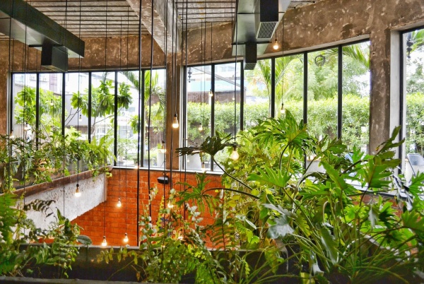 The-Beauty-Of-Biophilic-Homes-For-Creative-People