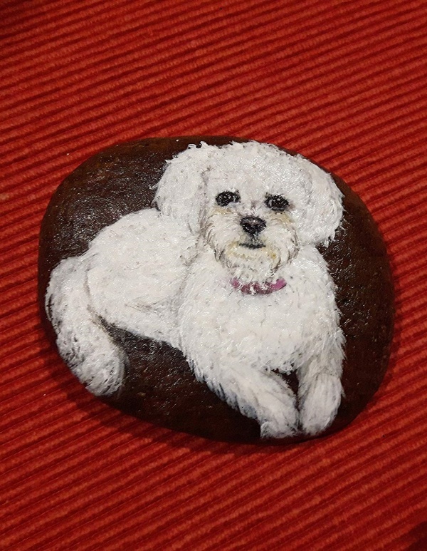 Easy Animal Rock Painting Ideas For Beginners