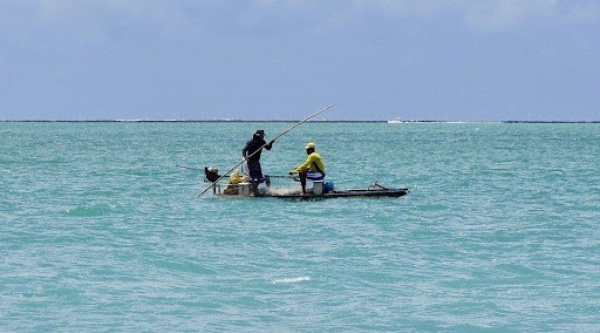 The-Benefits-of-Floating-Platforms-for-Fisheries