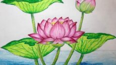 Simple-and-Easy-Lotus-Flower-Drawing-Flower-Drawing-Tutorial