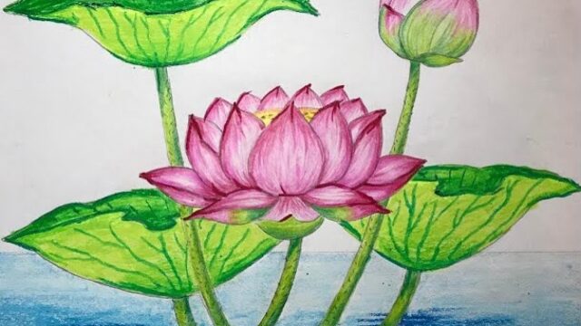 Simple-and-Easy-Lotus-Flower-Drawing-Flower-Drawing-Tutorial