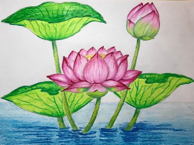 Simple-and-Easy-Lotus-Flower-Drawing-Flower-Drawing-Tutorial