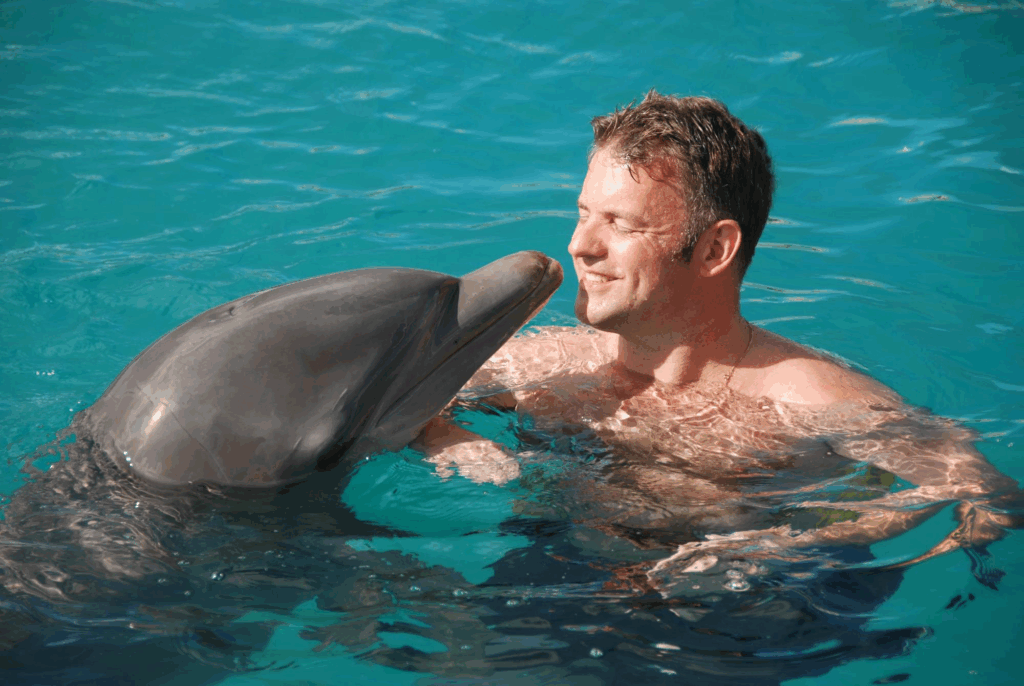 man and dolphin