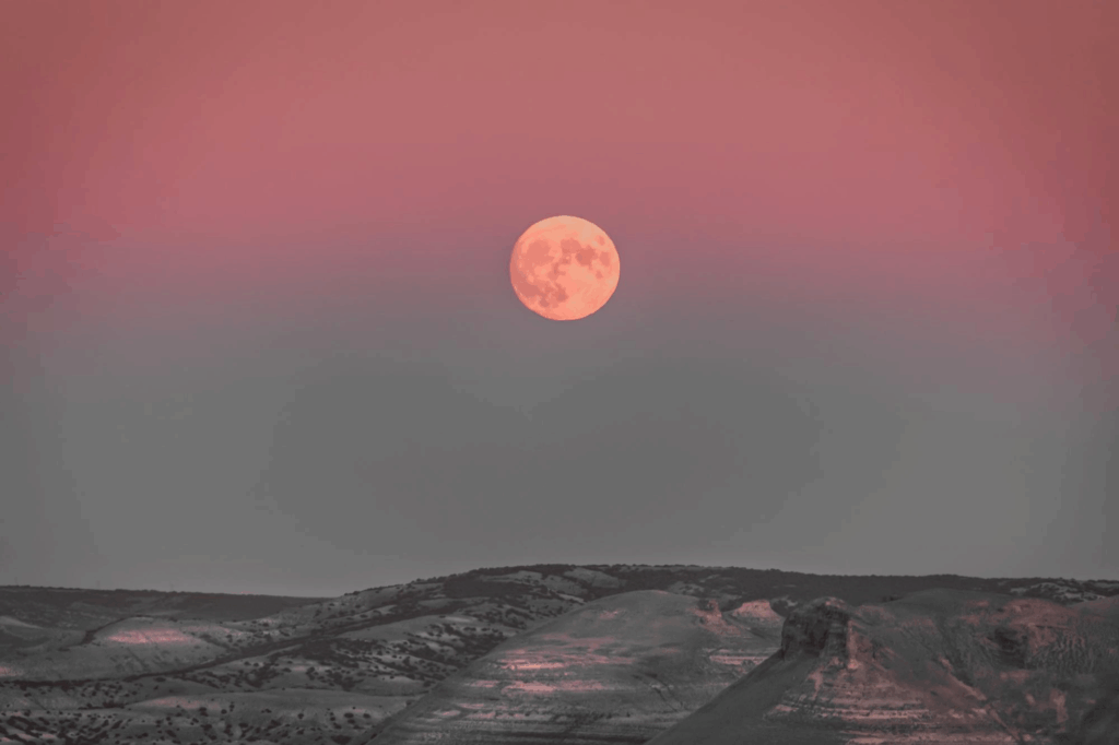 Strawberry Moon