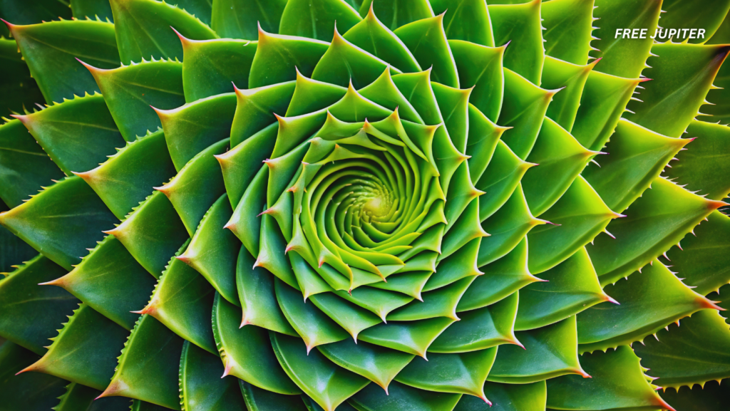 Pattern Llives Scientist Claims That Patterns Are Alive and We May Just Be Living Patterns